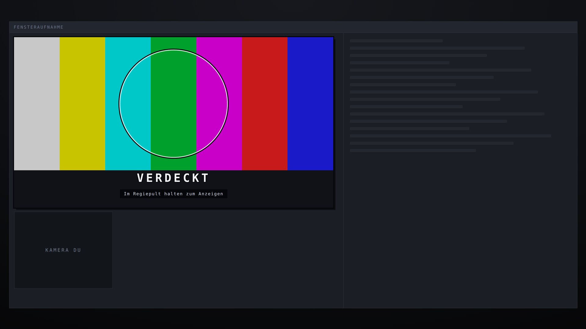 Test card cover over the guest camera of a captured video chat window, with the line "hold in the control dock to reveal" below it Test card cover over the guest camera of a captured video chat window, with the line "hold in the control dock to reveal" below it